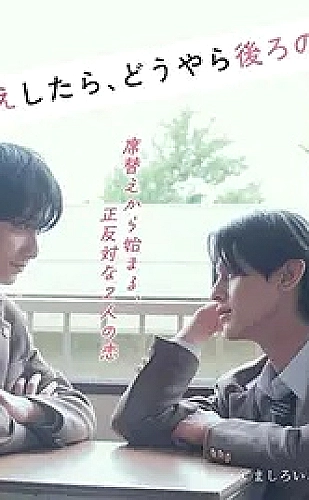繁花归处海报