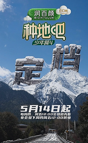 城市漫游者海报