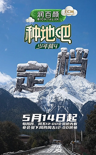 花开有期海报