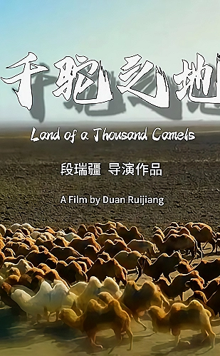 纸上远方海报
