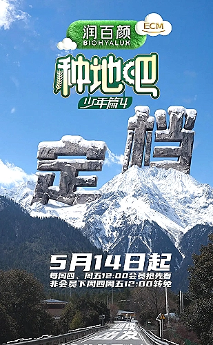 请回答晚风海报
